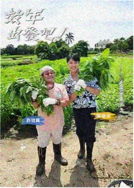 音效设计资讯配图